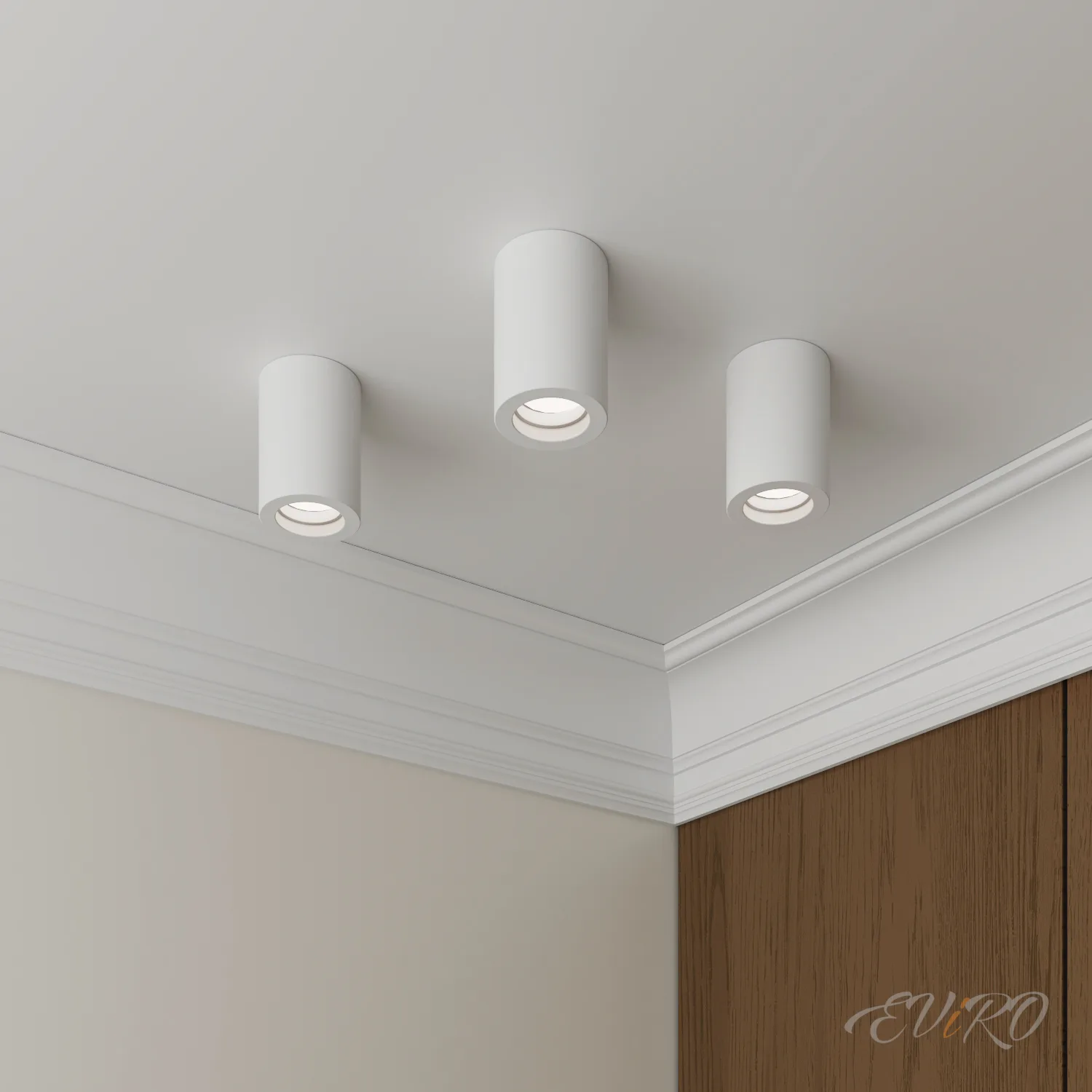 Потолочный светильник EViRO ПС 1